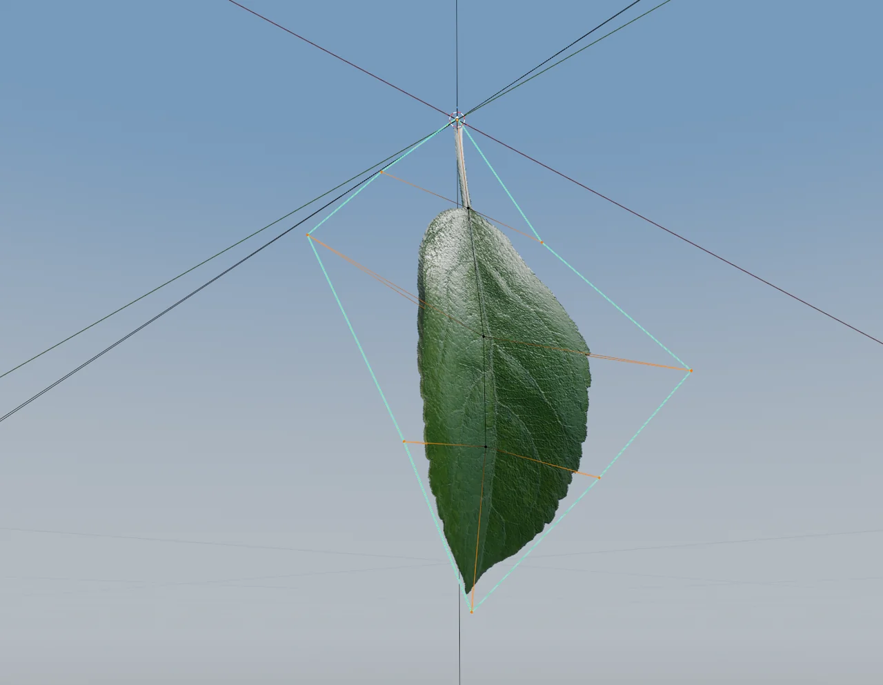 The leaf face on in the modeling kit.