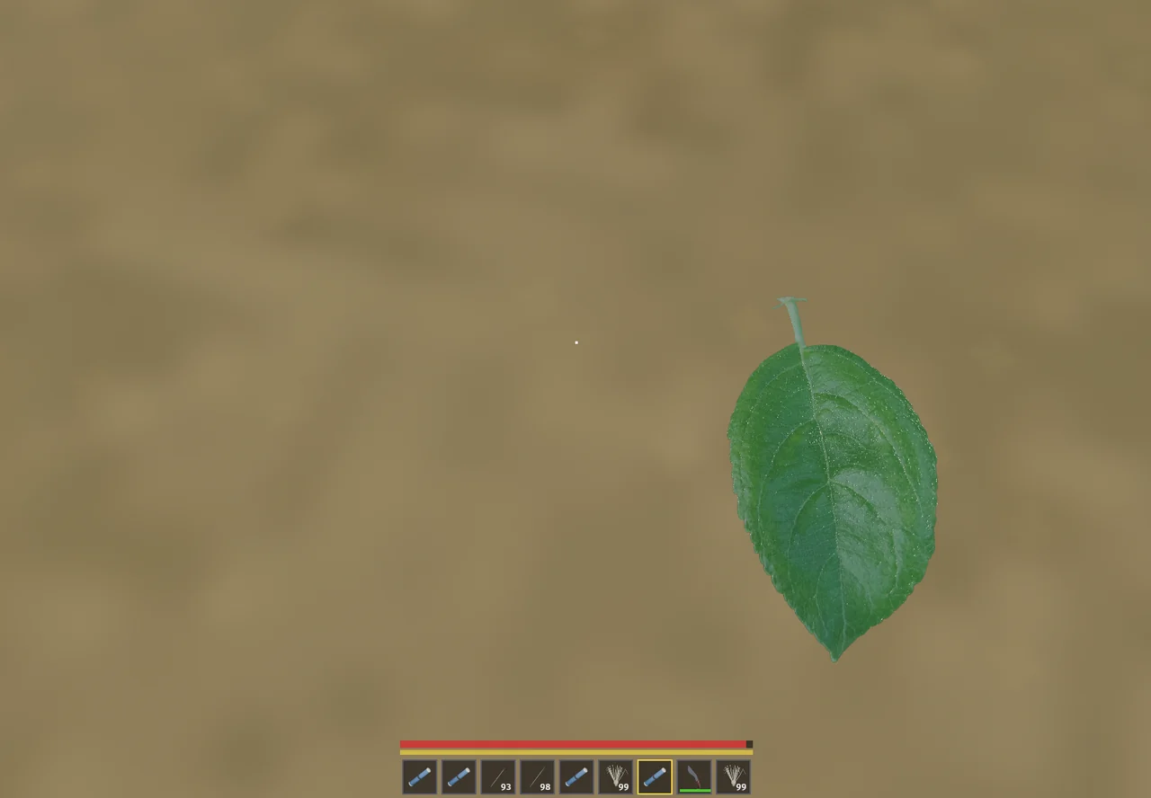 The leaf from above, held over sand.