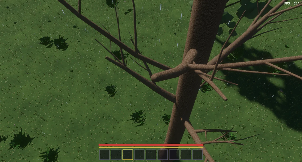 The old trees, looking down from the top of one onto the grass.